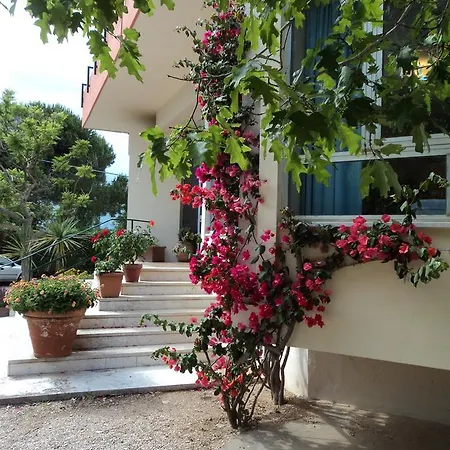 Le Pleiadi Hotel San Felice Circeo