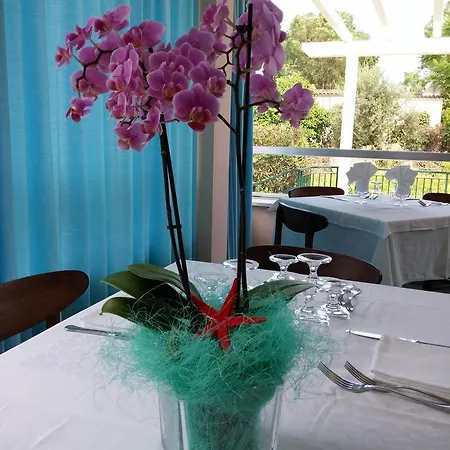 Le Pleiadi Hotel San Felice Circeo